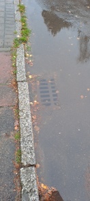Foto: Gully verstopft 